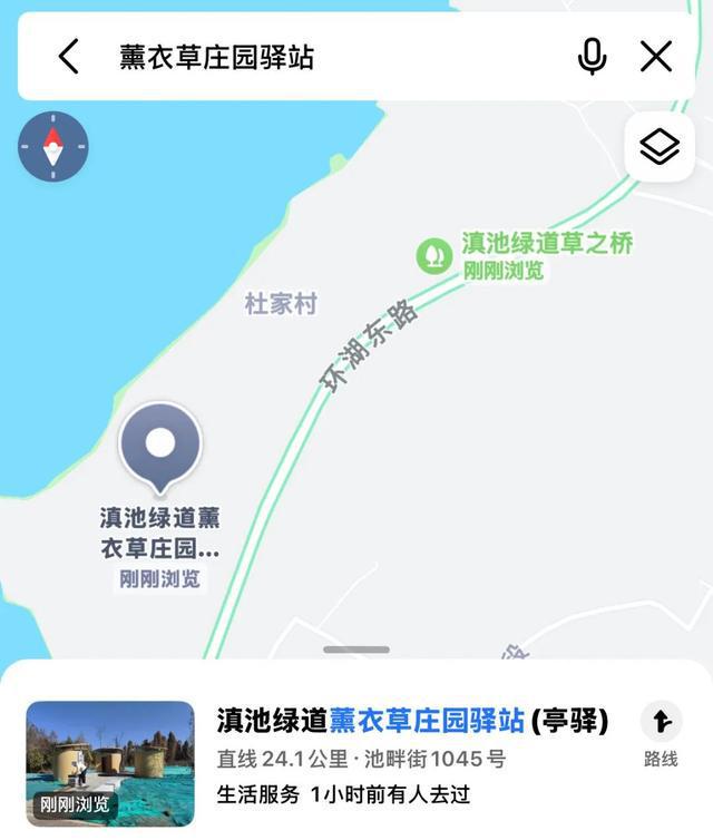 拍合照~昆明踏春好去处值得打卡！j9平台在草野里听春风和薰衣草(图4)