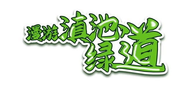 拍合照~昆明踏春好去处值得打卡！j9平台在草野里听春风和薰衣草(图7)