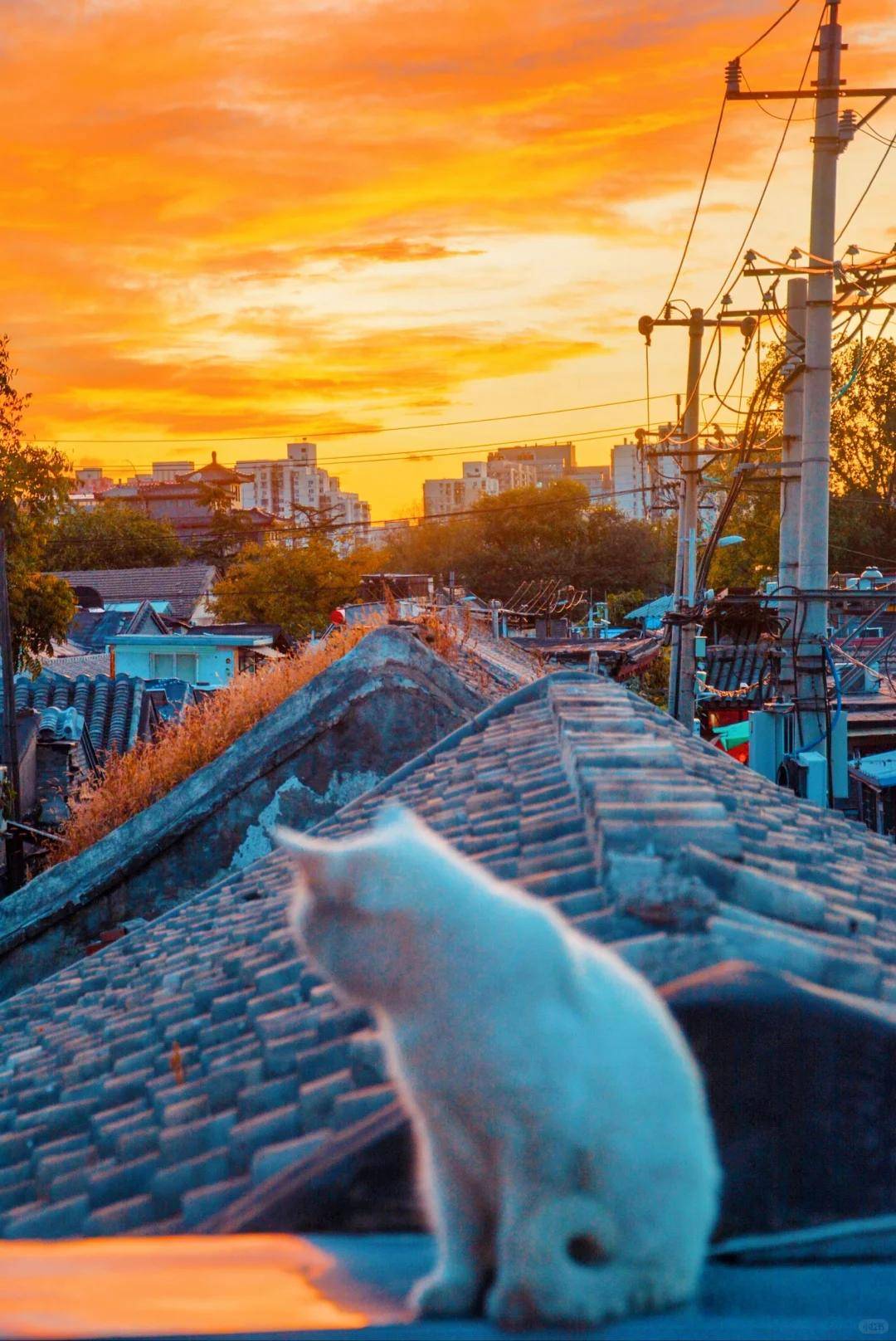5家靠谱的私人订制旅行社带您告别传统跟团