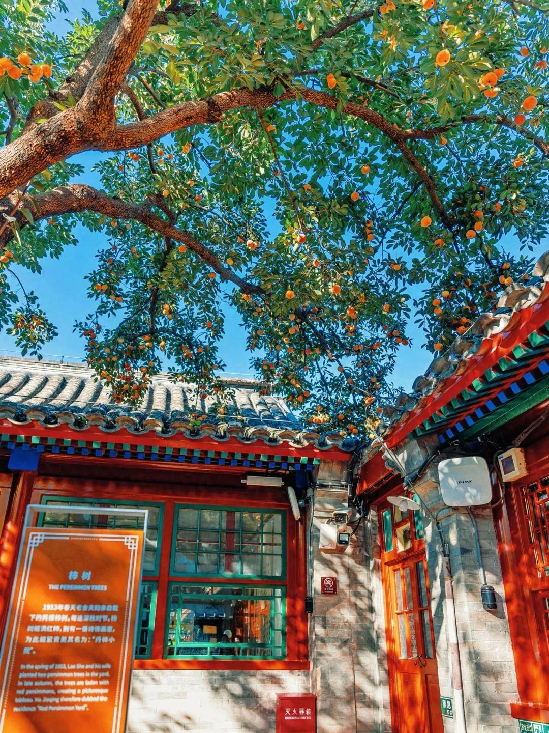 5家靠谱的私人订制旅行社带您告别传统跟团j9九游会网址是什么北京定制游崛起！这(图3)