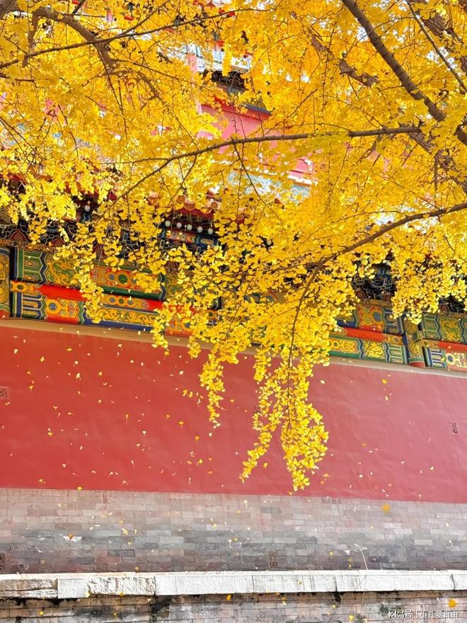 团才能实现真正的“沉浸式”深度游j9平台北京哪个旅行社好|一家成(图2) 团才能实现真正的“沉浸式”深度游j9平台北京哪个旅行社好|一家成(图2)